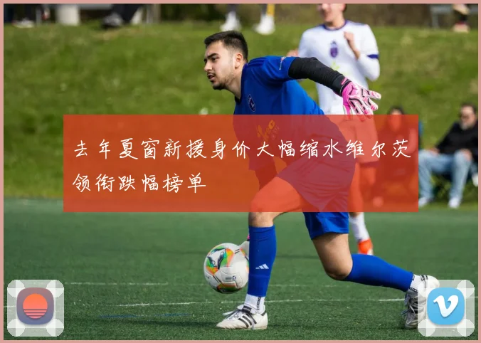 去年夏窗新援身价大幅缩水维尔茨领衔跌幅榜单